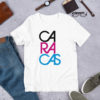 mockup-56006e69.jpg